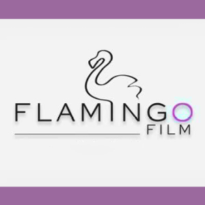 flamingofilm_ flamingofilm_